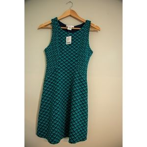 NWT urban outfitters fit and flare dress